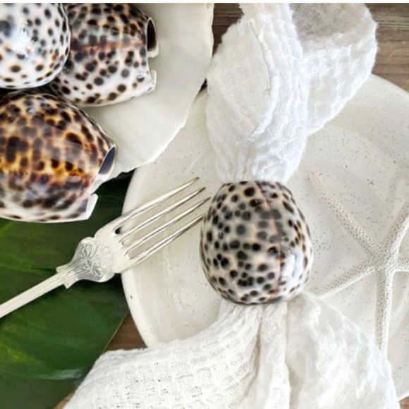 Tiger Cowrie Shell | Brown, White | Napkin Rings | Set Of 4 | Size 2” - Picture 1 of 10